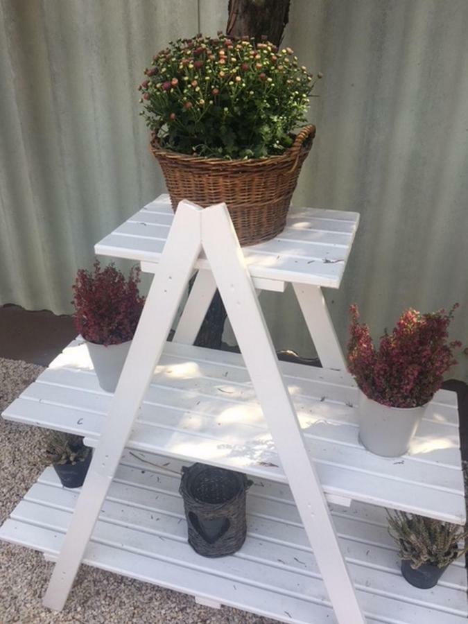Nefelejcs Vendeghaz Hotell Toalmas Exteriör bild